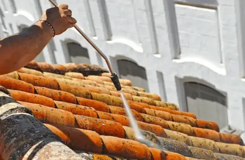 Nettoyage de toitures - Castels et Bézenac